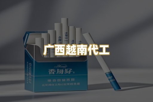 广西越南代工
